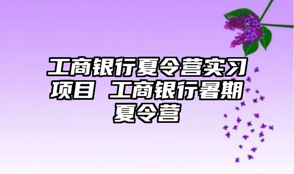 工商銀行夏令營實習項目 工商銀行暑期夏令營