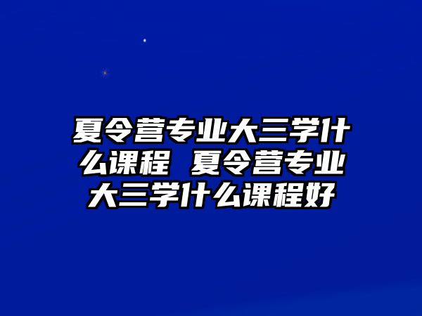 夏令營專業(yè)大三學(xué)什么課程 夏令營專業(yè)大三學(xué)什么課程好