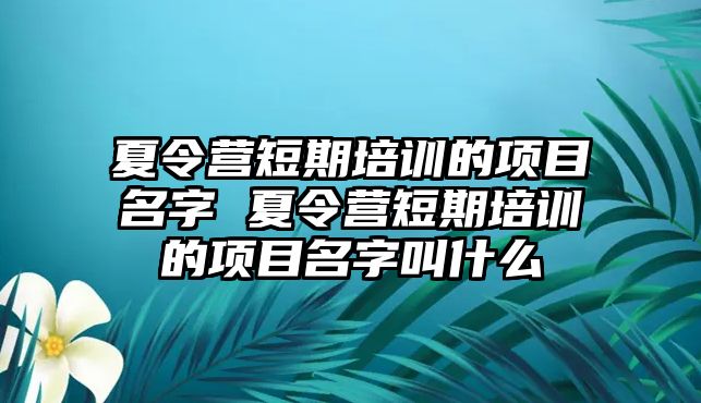 夏令營短期培訓的項目名字 夏令營短期培訓的項目名字叫什么