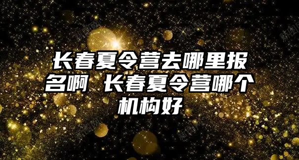 長春夏令營去哪里報名啊 長春夏令營哪個機構好