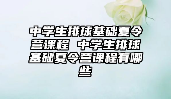 中學生排球基礎夏令營課程 中學生排球基礎夏令營課程有哪些