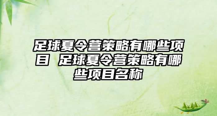 足球夏令營策略有哪些項目 足球夏令營策略有哪些項目名稱