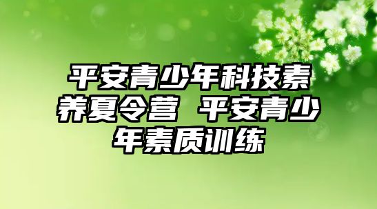 平安青少年科技素養夏令營 平安青少年素質訓練