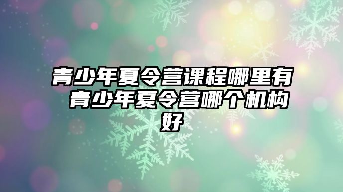 青少年夏令營課程哪里有 青少年夏令營哪個機構好