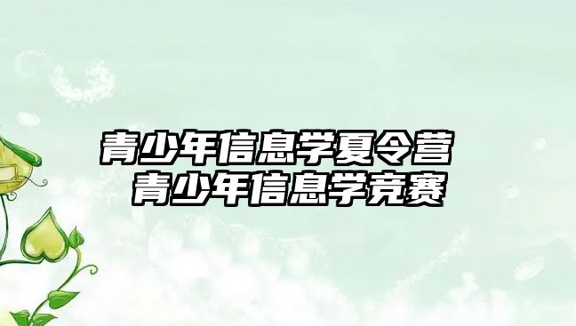 青少年信息學(xué)夏令營 青少年信息學(xué)競賽