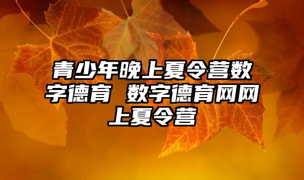 青少年晚上夏令營數字德育 數字德育網網上夏令營