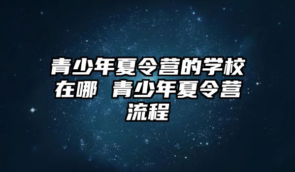 青少年夏令營的學校在哪 青少年夏令營流程