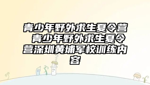 青少年野外求生夏令營 青少年野外求生夏令營深圳黃埔軍校訓練內容