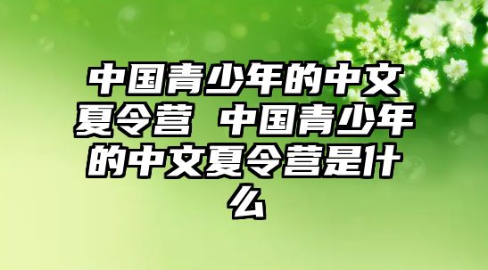 中國青少年的中文夏令營 中國青少年的中文夏令營是什么