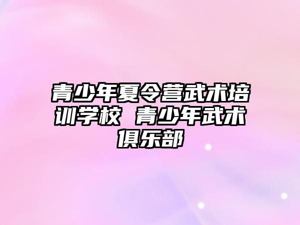 青少年夏令營武術培訓學校 青少年武術俱樂部