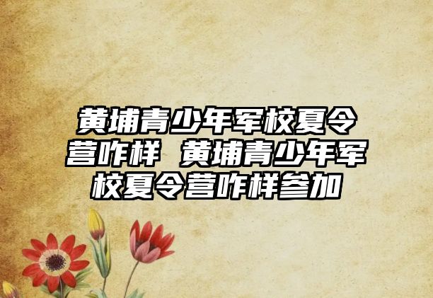 黃埔青少年軍校夏令營咋樣 黃埔青少年軍校夏令營咋樣參加