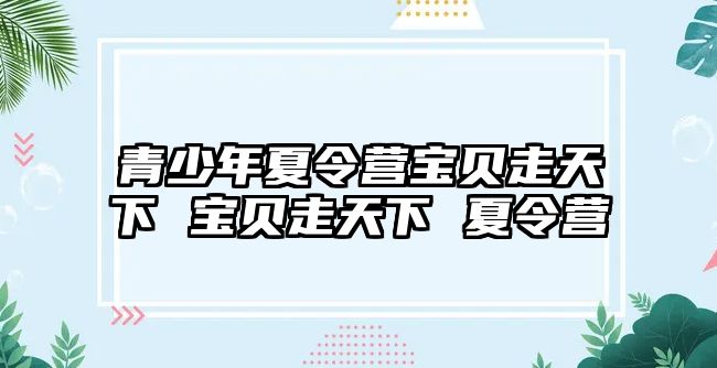 青少年夏令營(yíng)寶貝走天下 寶貝走天下 夏令營(yíng)