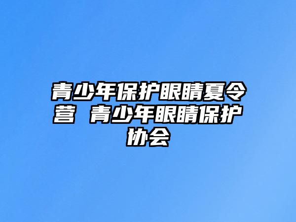 青少年保護眼睛夏令營 青少年眼睛保護協(xié)會