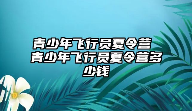 青少年飛行員夏令營 青少年飛行員夏令營多少錢