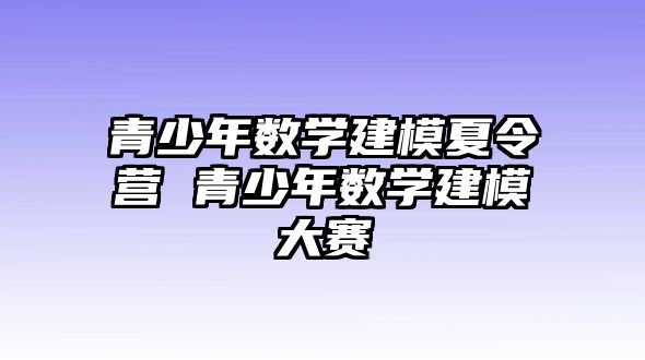 青少年數學建模夏令營 青少年數學建模大賽