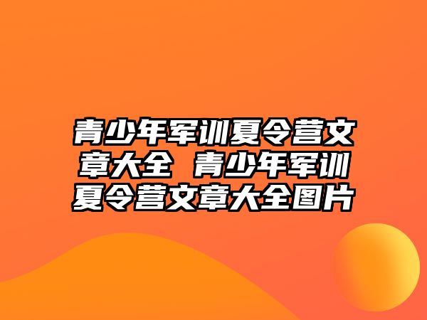 青少年軍訓夏令營文章大全 青少年軍訓夏令營文章大全圖片