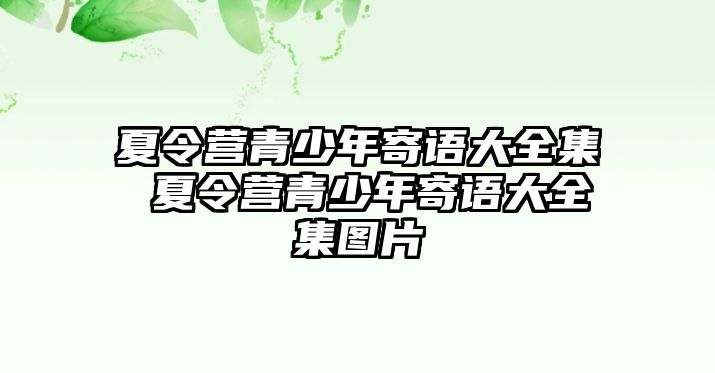 夏令營(yíng)青少年寄語(yǔ)大全集 夏令營(yíng)青少年寄語(yǔ)大全集圖片