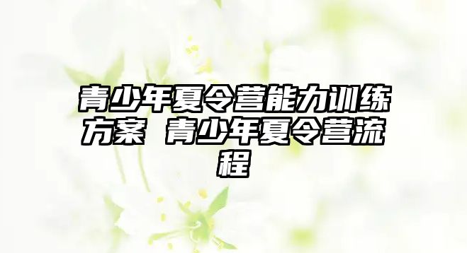 青少年夏令營能力訓練方案 青少年夏令營流程