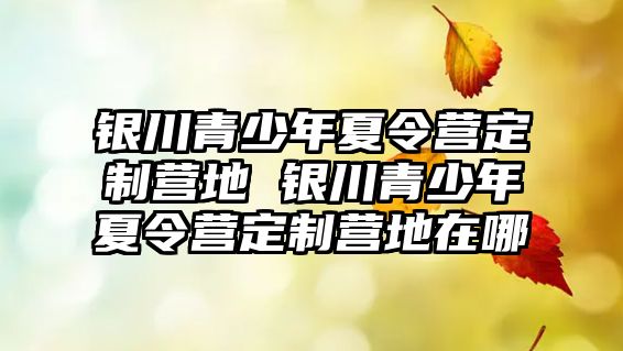 銀川青少年夏令營定制營地 銀川青少年夏令營定制營地在哪