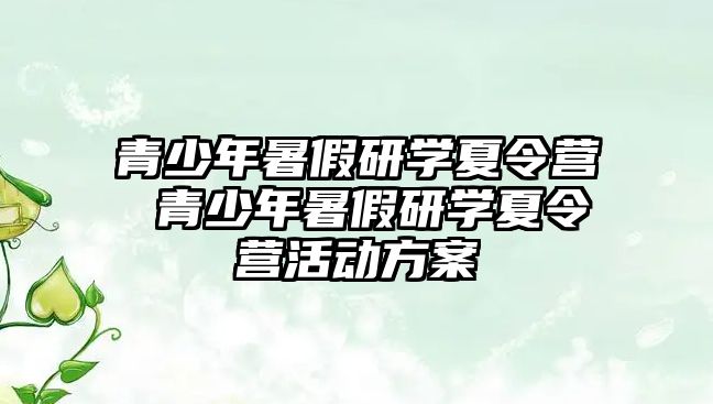 青少年暑假研學(xué)夏令營 青少年暑假研學(xué)夏令營活動方案