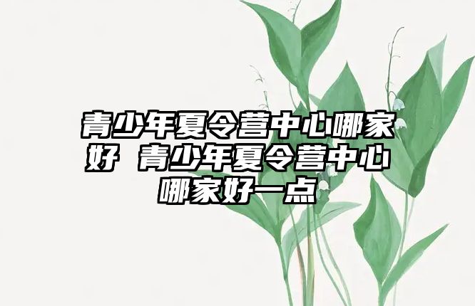 青少年夏令營中心哪家好 青少年夏令營中心哪家好一點