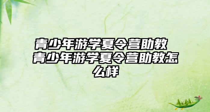 青少年游學夏令營助教 青少年游學夏令營助教怎么樣