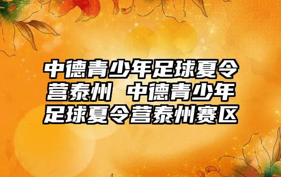 中德青少年足球夏令營泰州 中德青少年足球夏令營泰州賽區