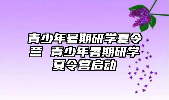 青少年暑期研學(xué)夏令營 青少年暑期研學(xué)夏令營啟動