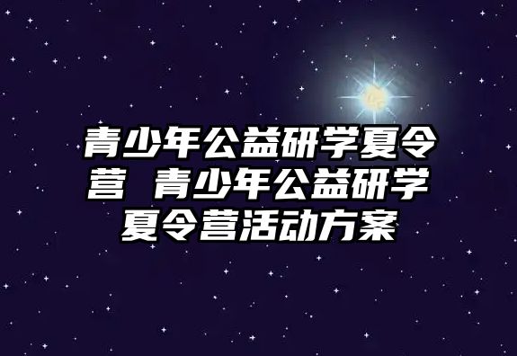 青少年公益研學夏令營 青少年公益研學夏令營活動方案