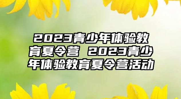 2023青少年體驗教育夏令營 2023青少年體驗教育夏令營活動