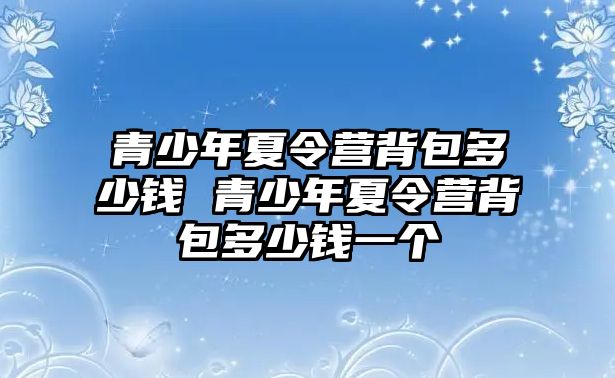 青少年夏令營背包多少錢 青少年夏令營背包多少錢一個