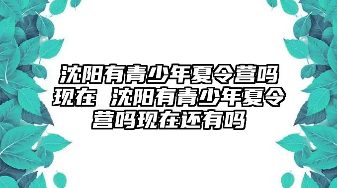 沈陽有青少年夏令營嗎現(xiàn)在 沈陽有青少年夏令營嗎現(xiàn)在還有嗎