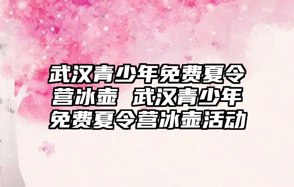 武漢青少年免費(fèi)夏令營冰壺 武漢青少年免費(fèi)夏令營冰壺活動