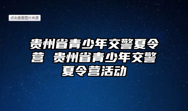 貴州省青少年交警夏令營 貴州省青少年交警夏令營活動