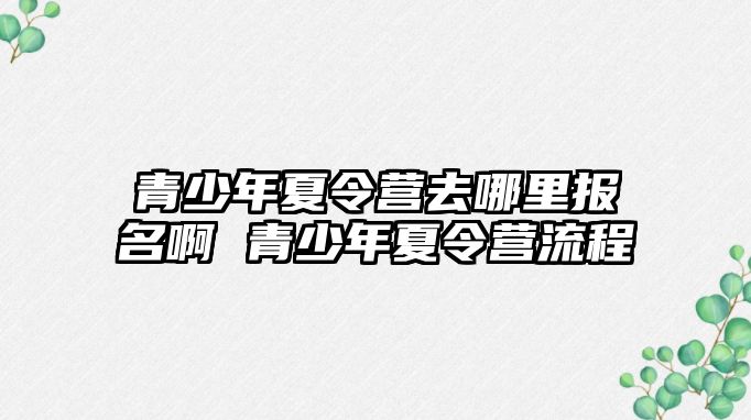 青少年夏令營去哪里報名啊 青少年夏令營流程